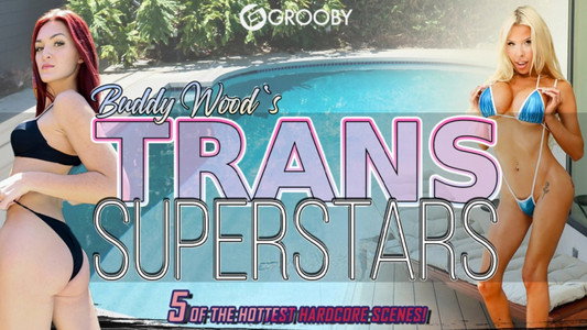 Buddy Wood's Trans Superstars