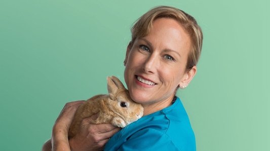 Dr. K's Exotic Animal ER