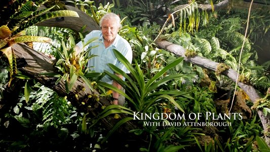 Kingdom of Plants