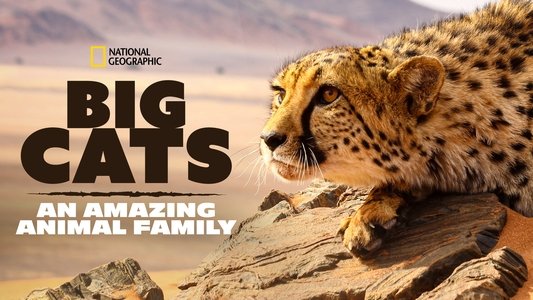 Big Cats: An Amazing Animal Family