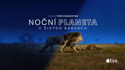 Earth at Night in Colour