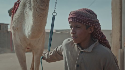 هجّان