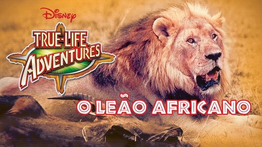 The African Lion