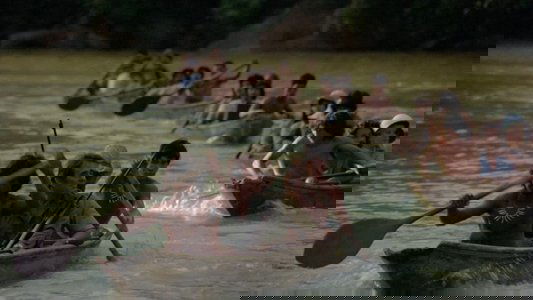 Horror Safari