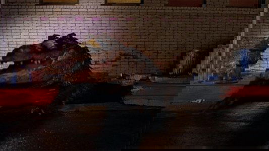 Alligator