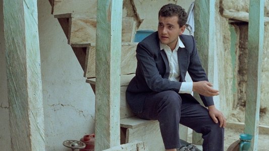 زندگی و دیگر هیچ