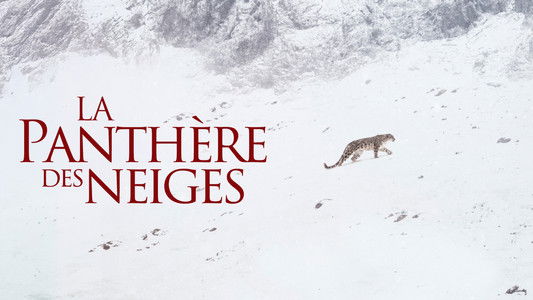 La Panthère des neiges