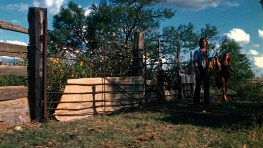 The Texas Chain Saw Massacre