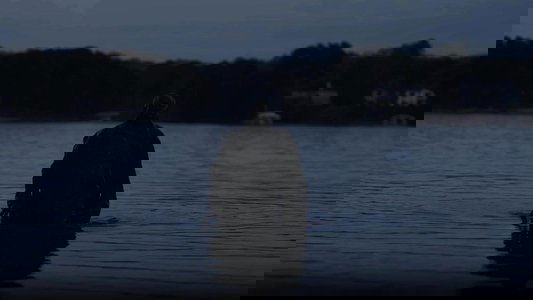 Lanier