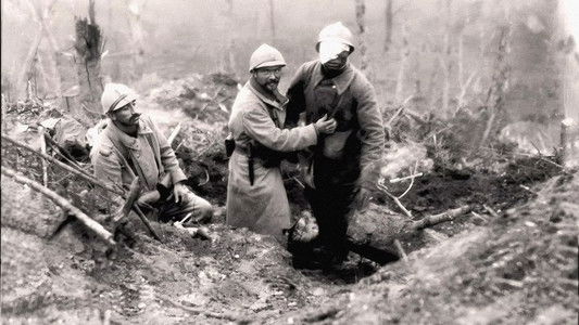 Ils étaient tirailleurs, voix oubliées de la Grande Guerre