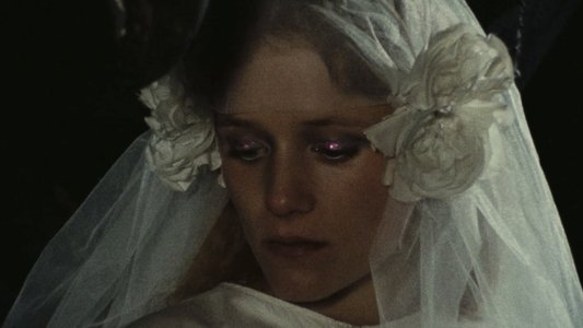 Un rêve plus long que la nuit