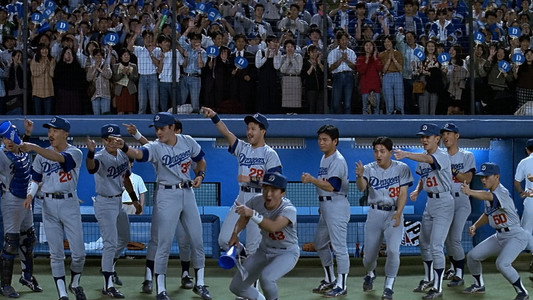 Mr. Baseball