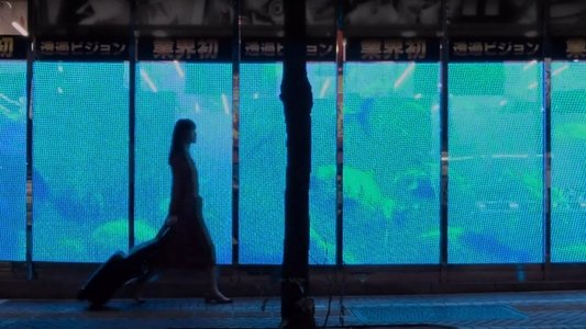片袖の魚