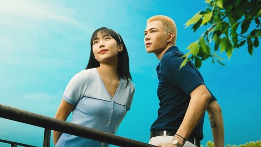 Gặp Lại Chị Bầu