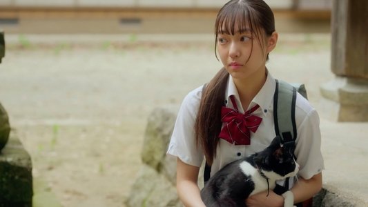 猫と私と、もう1人のネコ