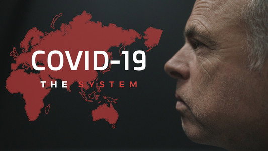 COVID-19: The System
