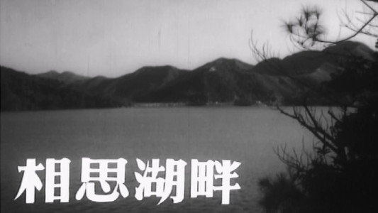 相思湖畔