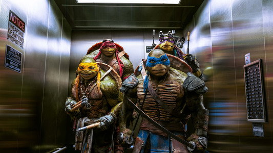 Teenage Mutant Ninja Turtles