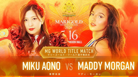 Marigold Shining Attack 2026 ~ Day 7