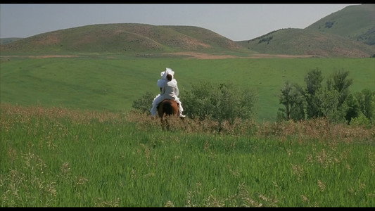 Napoleon Dynamite
