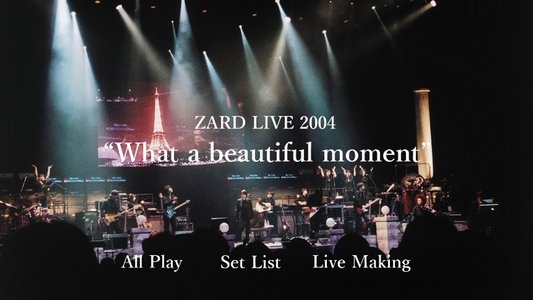 ZARD LIVE 2004“What a beautiful moment