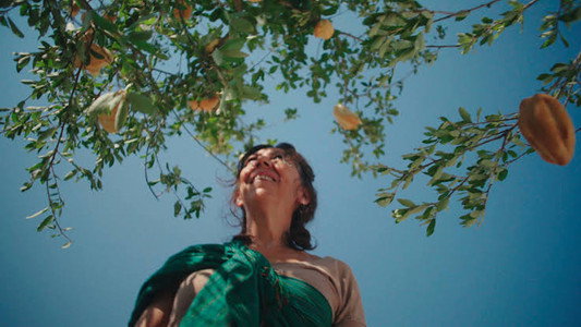 El Árbol