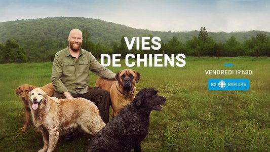 Vies de chiens