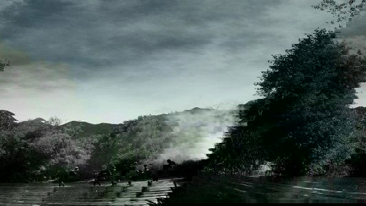 The Veil