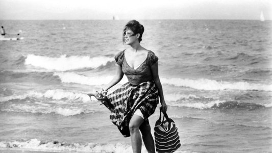 La ragazza con la valigia