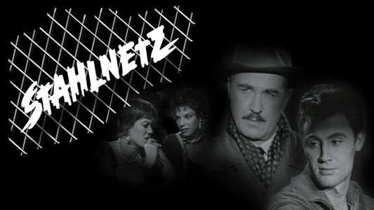 Stahlnetz