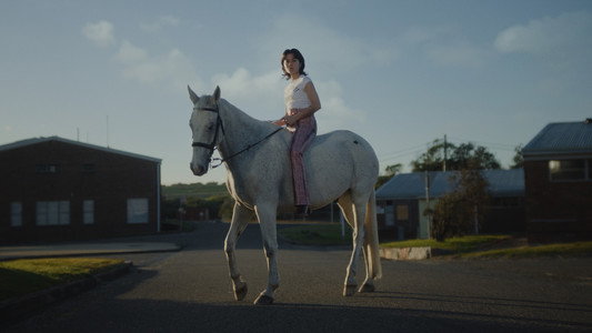 A Stable for Horses