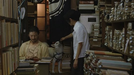 珈琲時光