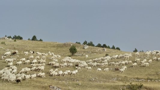 Rester vertical