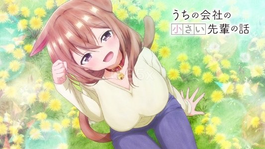 うちの会社の小さい先輩の話