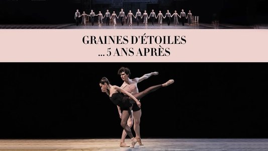 Graines d'étoiles