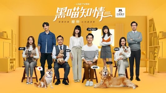 黑喵知情