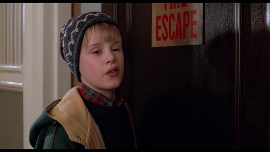 Home Alone 2: Lost in New York
