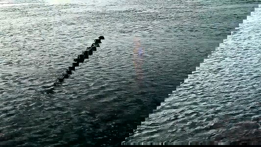 ഒരാൾപ്പൊക്കം