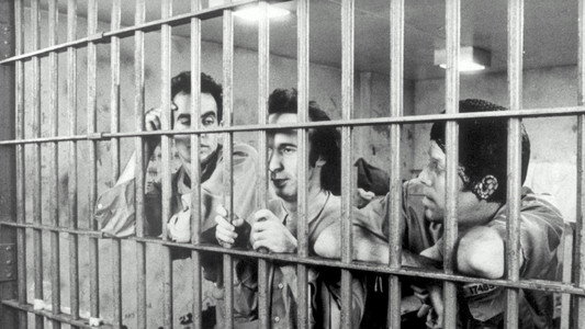 Down by Law