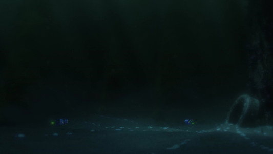 Finding Dory
