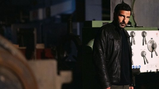 Il clandestino