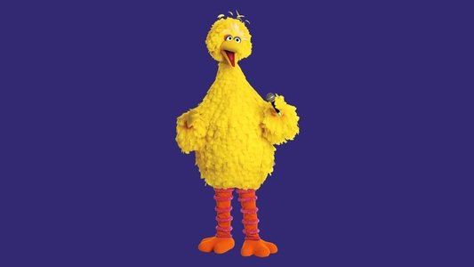 Sesame Street: Big Bird Sings!