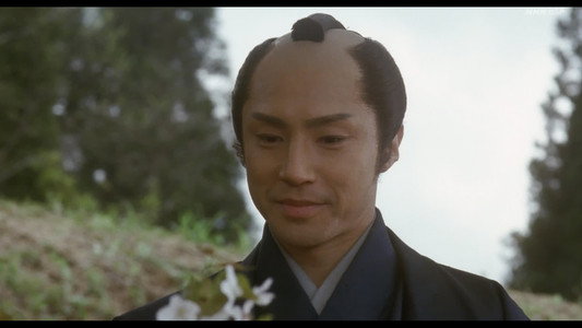 山桜