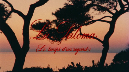La Paloma
