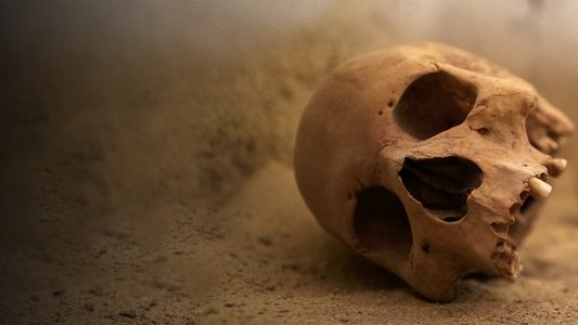 Lost Tombs of the Pyramids