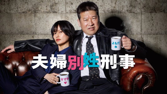 夫婦別姓刑事