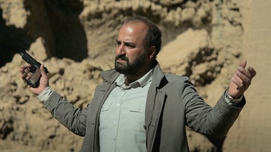 Les Graines du figuier sauvage