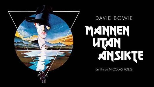 The Man Who Fell to Earth