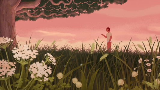 The Shyness of Trees