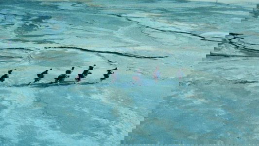 女囚さそり 第41雑居房